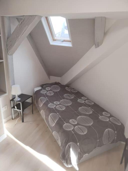 Charmant Appartement Cosy Sélestat Eksteriør bilde
